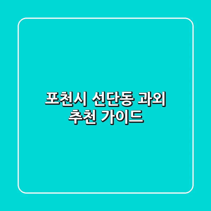 포천시 선단동 과외 추천 가이드