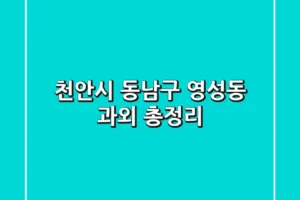천안시 동남구 영성동 과외 총정리