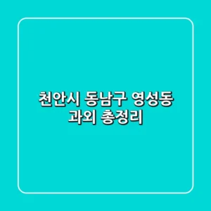 천안시 동남구 영성동 과외 총정리