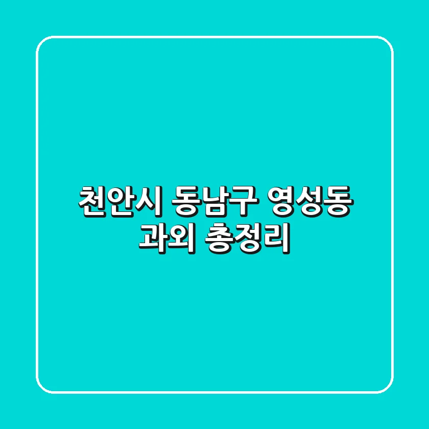 천안시 동남구 영성동 과외 총정리