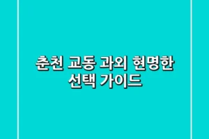 춘천 교동 과외, 현명한 선택 가이드