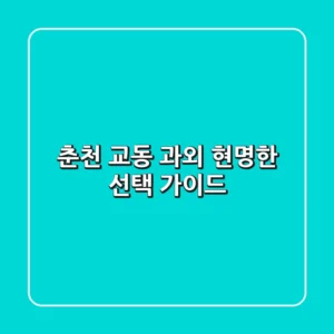 춘천 교동 과외, 현명한 선택 가이드