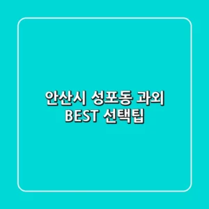 안산시 성포동 과외 BEST & 선택팁
