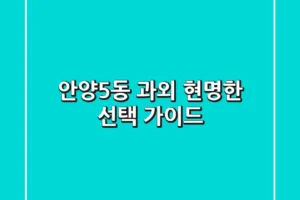 안양5동 과외, 현명한 선택 가이드