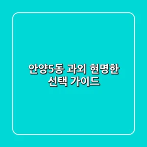 안양5동 과외, 현명한 선택 가이드