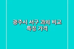광주시 서구 과외 비교: 특징, 가격