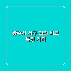 광주시 서구 과외 비교: 특징, 가격