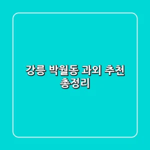 강릉 박월동 과외 추천 총정리