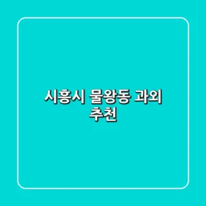 시흥시 물왕동 과외 추천