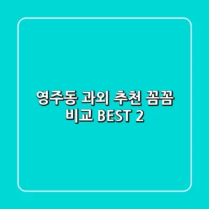 영주동 과외 추천: 꼼꼼 비교 BEST 2