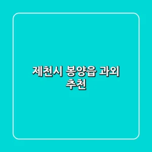 제천시 봉양읍 과외 추천