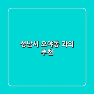 성남시 오야동 과외 추천