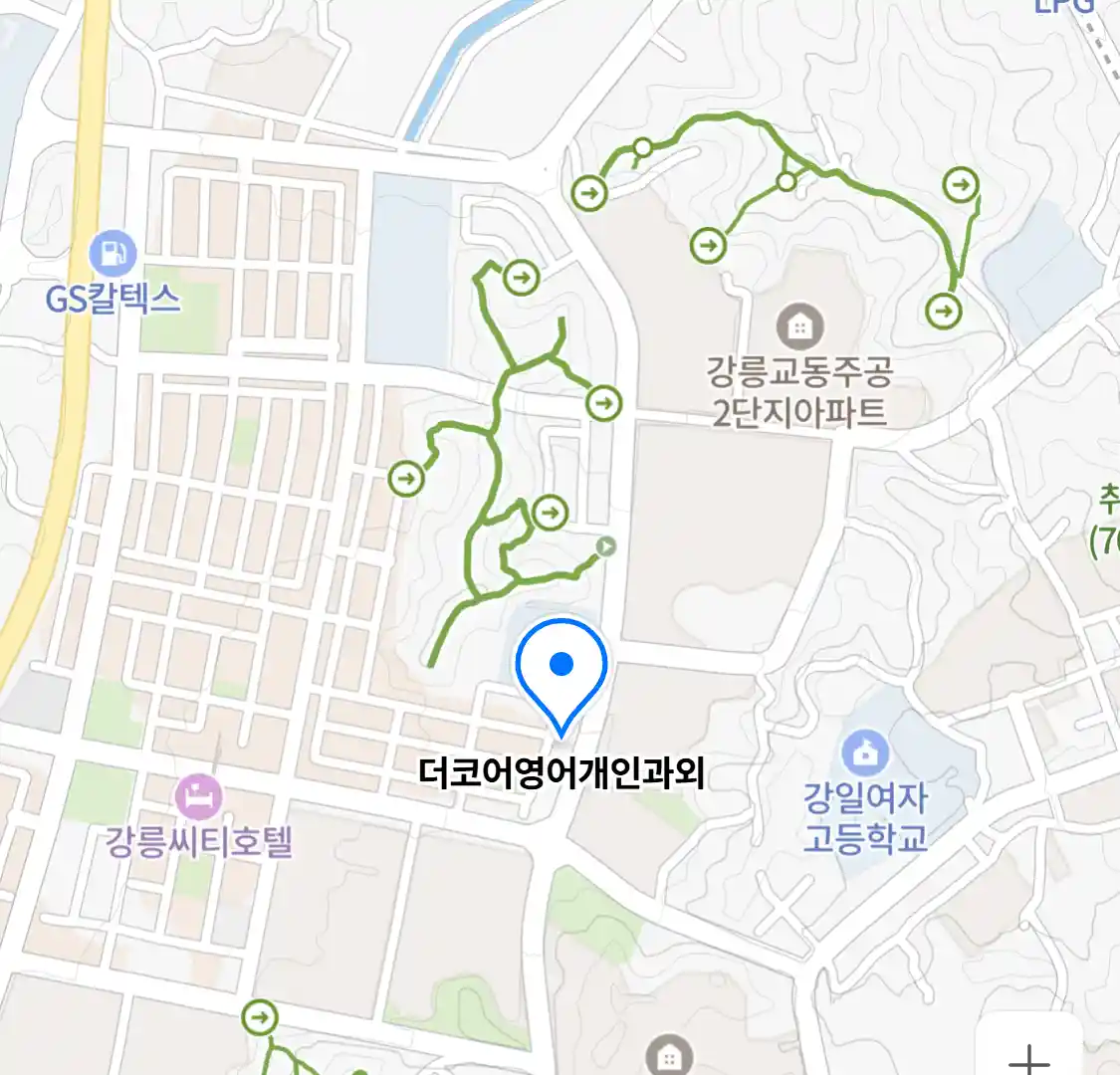 더코어영어개인과외