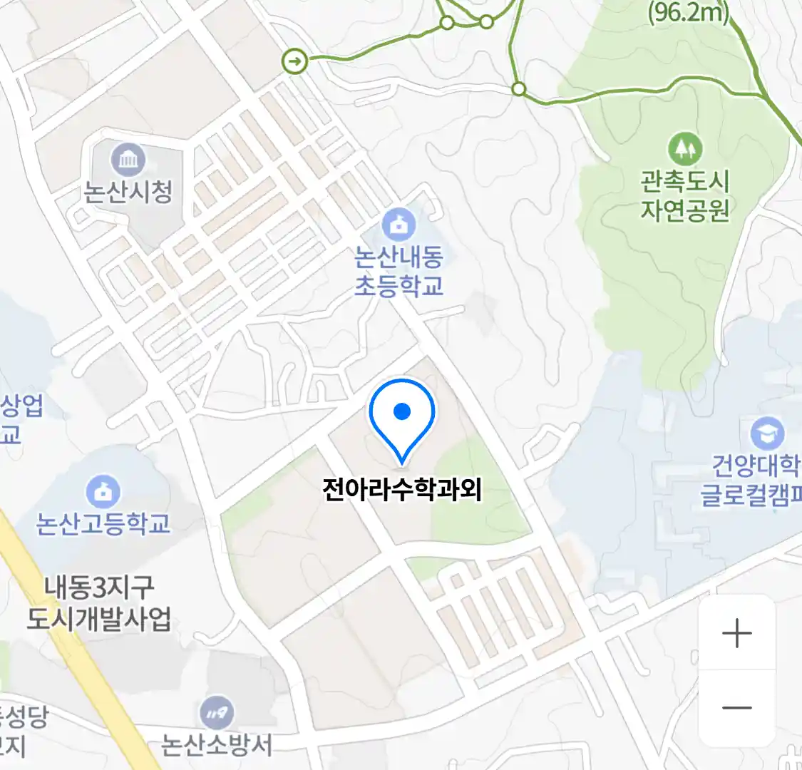 전아라수학과외