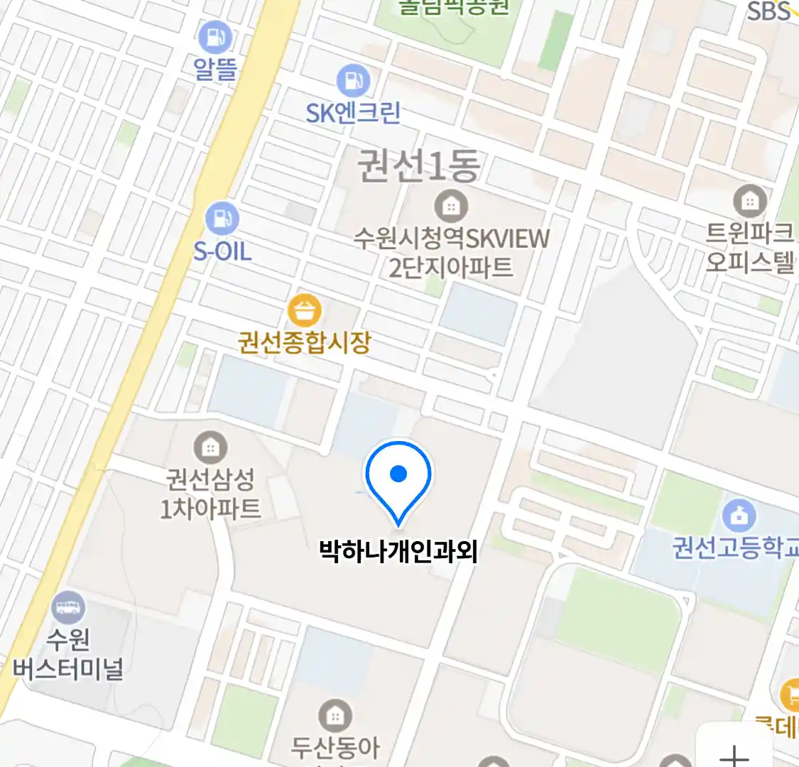 박하나개인과외