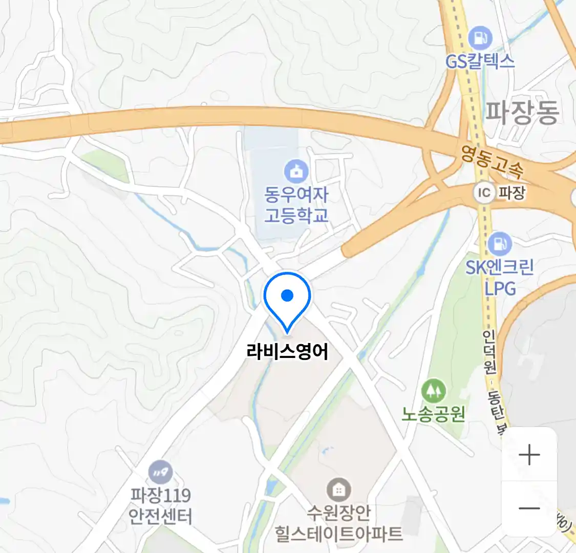 라비스영어