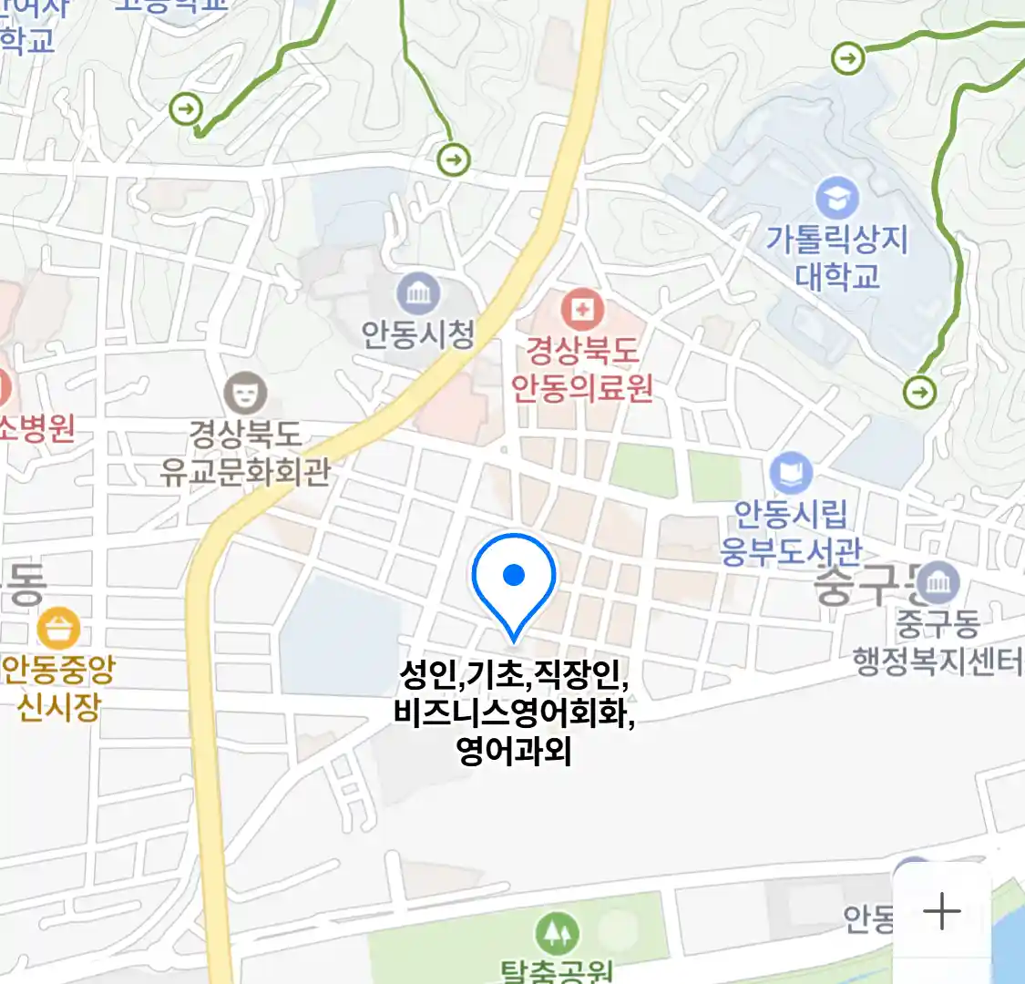 성인,기초,직장인,비즈니스영어회화,영어과외