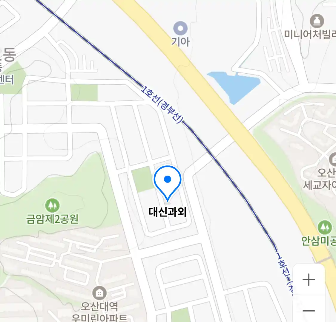 대신과외