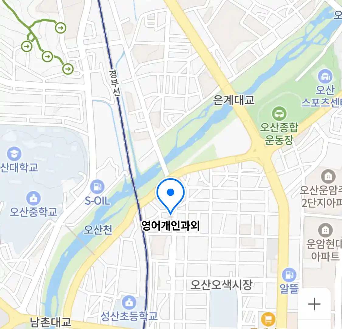 영어개인과외