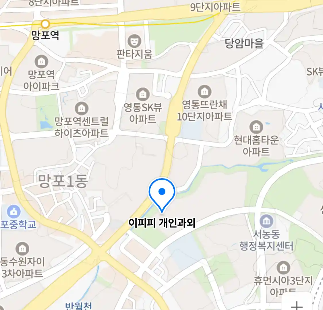 이피피 개인과외