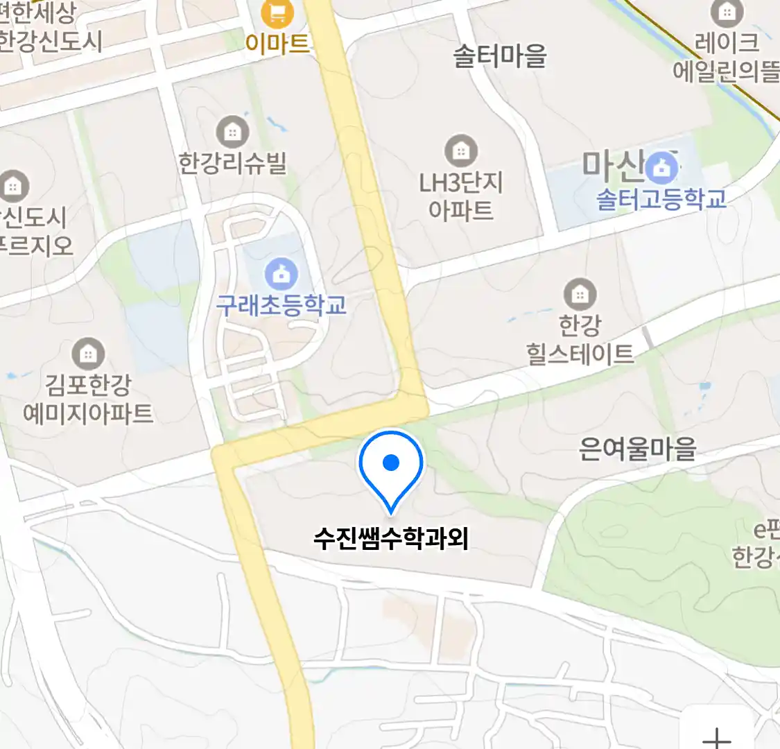 수진쌤수학과외