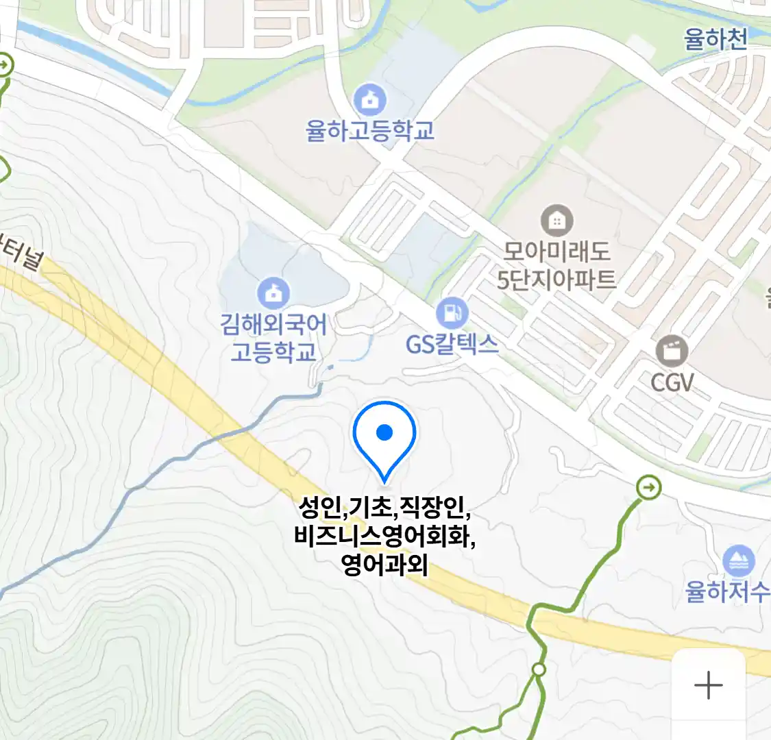 성인,기초,직장인,비즈니스영어회화,영어과외