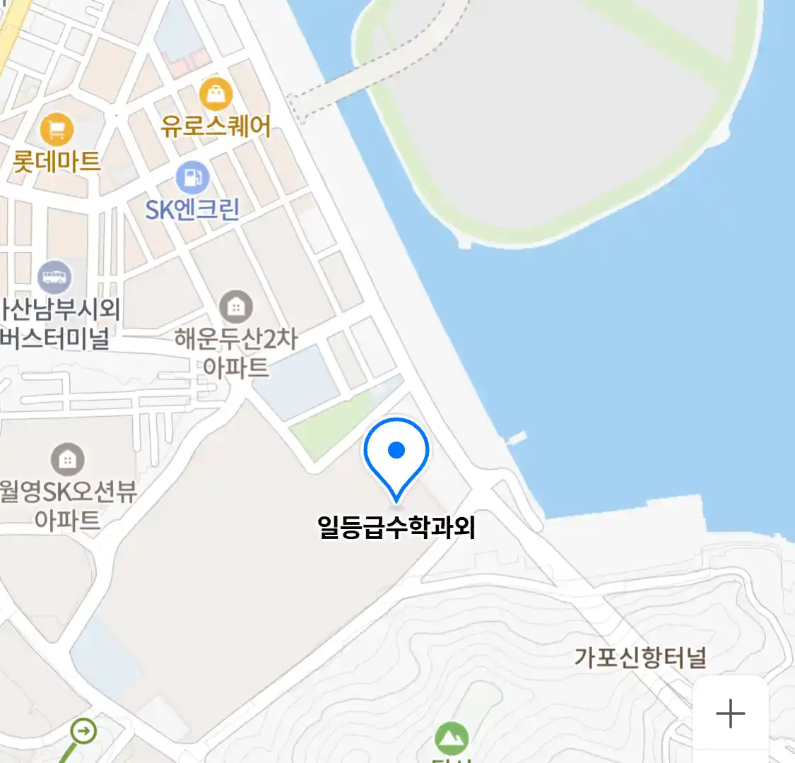 일등급수학과외