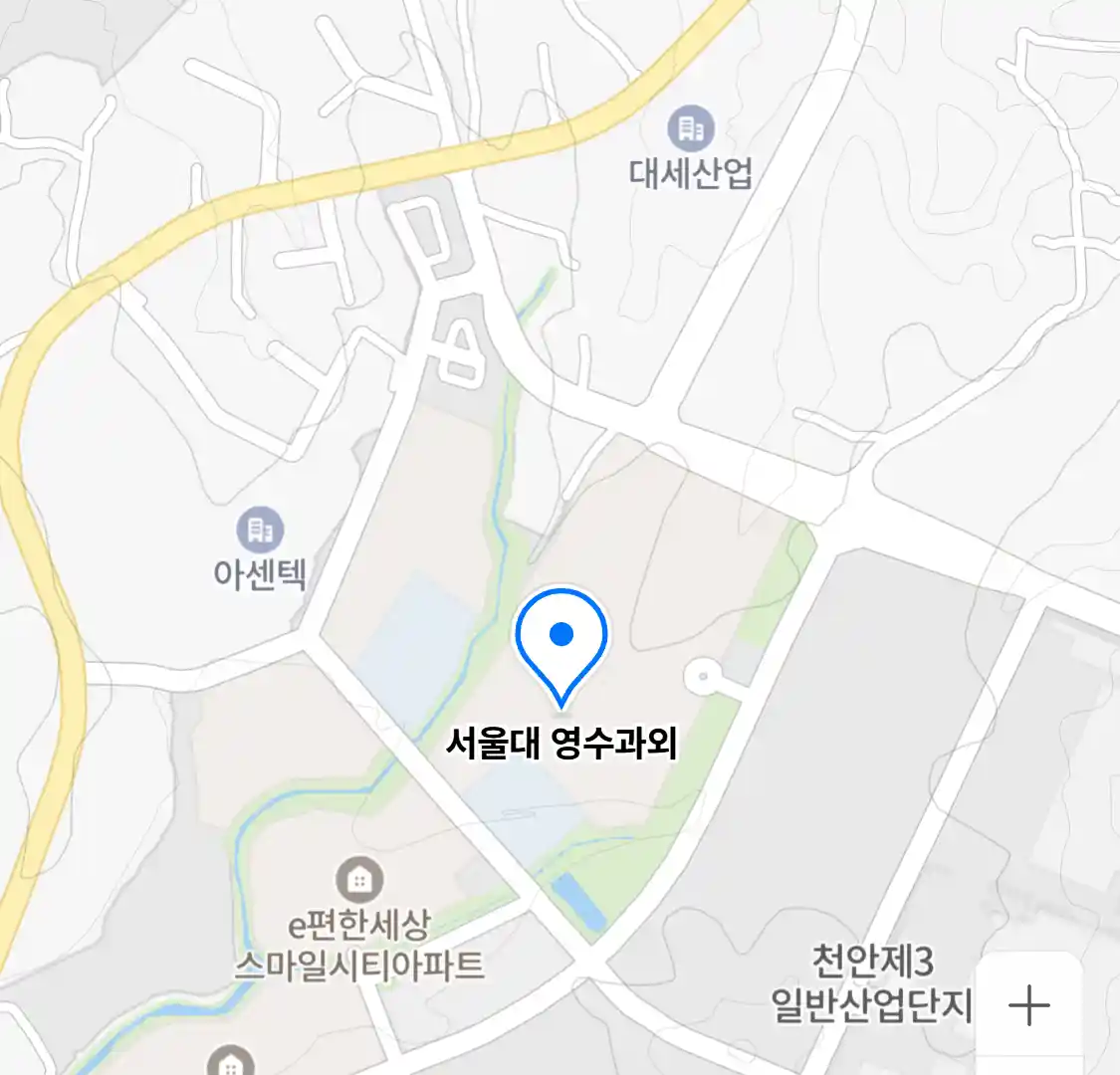 서울대 영수과외