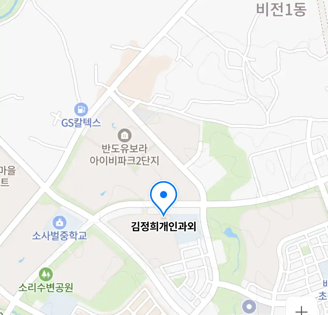김정희개인과외
