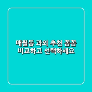 매월동 과외 추천: 꼼꼼 비교하고 선택하세요!