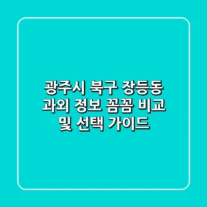 광주시 북구 장등동 과외 정보: 꼼꼼 비교 및 선택 가이드