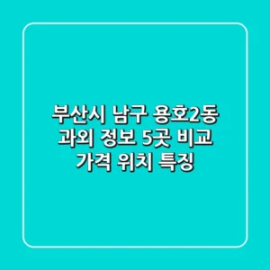 부산시 남구 용호2동 과외 정보: 5곳 비교 (가격, 위치, 특징)