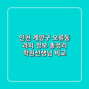 인천 계양구 오류동 과외 정보 총정리 - 학원/선생님 비교