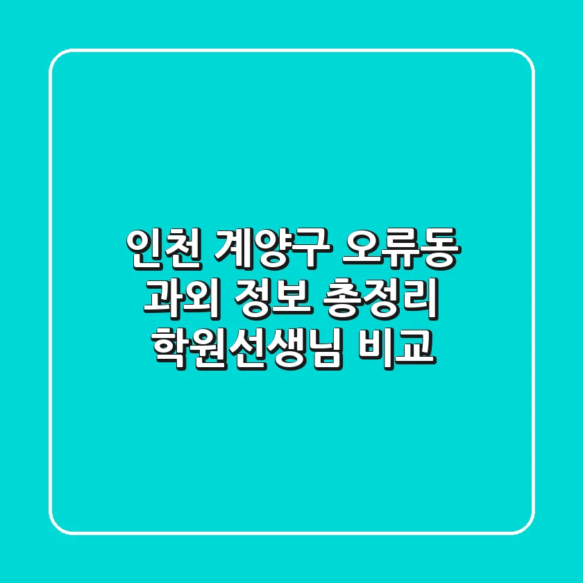 인천 계양구 오류동 과외 정보 총정리 - 학원/선생님 비교