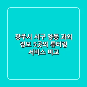 광주시 서구 양동 과외 정보: 5곳의 튜터링 서비스 비교