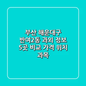 부산 해운대구 반여2동 과외 정보: 5곳 비교 (가격, 위치, 과목)