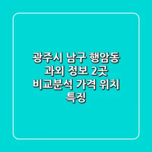 광주시 남구 행암동 과외 정보: 2곳 비교분석 - 가격, 위치, 특징
