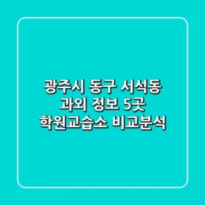 광주시 동구 서석동 과외 정보: 5곳 학원/교습소 비교분석