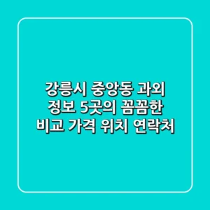 강릉시 중앙동 과외 정보: 5곳의 꼼꼼한 비교 (가격, 위치, 연락처)