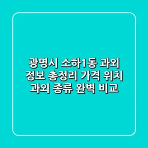 광명시 소하1동 과외 정보 총정리 - 가격, 위치, 과외 종류 완벽 비교