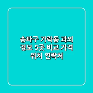 송파구 가락동 과외 정보: 5곳 비교 (가격, 위치, 연락처)