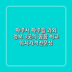 파주시 파주읍 과외 정보: 3곳의 꼼꼼 비교 (위치/가격/전문성)