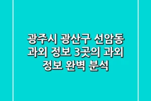 광주시 광산구 선암동 과외 정보: 3곳의 과외 정보 완벽 분석