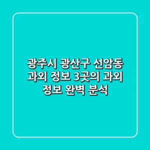 광주시 광산구 선암동 과외 정보: 3곳의 과외 정보 완벽 분석