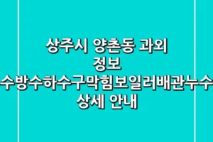 상주시 양촌동 과외 정보: 탑누수방수,하수구막힘,보일러배관누수공사 상세 안내