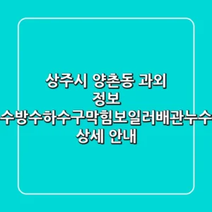 상주시 양촌동 과외 정보: 탑누수방수,하수구막힘,보일러배관누수공사 상세 안내