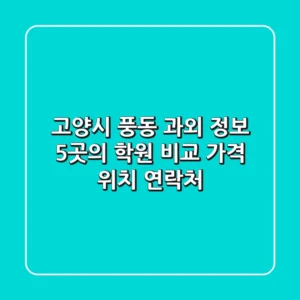 고양시 풍동 과외 정보: 5곳의 학원 비교 (가격, 위치, 연락처)