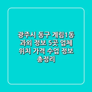 광주시 동구 계림1동 과외 정보: 5곳 업체 위치, 가격, 수업 정보 총정리