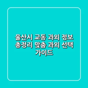 울산시 교동 과외 정보 총정리 - 맞춤 과외 선택 가이드