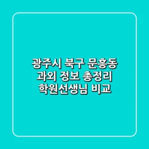 광주시 북구 문흥동 과외 정보 총정리 - 학원/선생님 비교